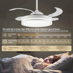 Monocle (Ceiling Fan Light)