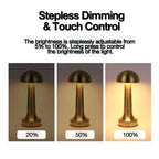 Flare - Minimalist USB Rechargeable Desk Lamp (Gold/ Silver/ Rose Gold)