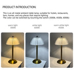 Bonnet Clear - Brass Finish USB Rechargeable Lamp Dimmable Touch Control