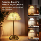 Star Point - Four Shade Options USB Rechargeable Crystal LED Desk Lamp