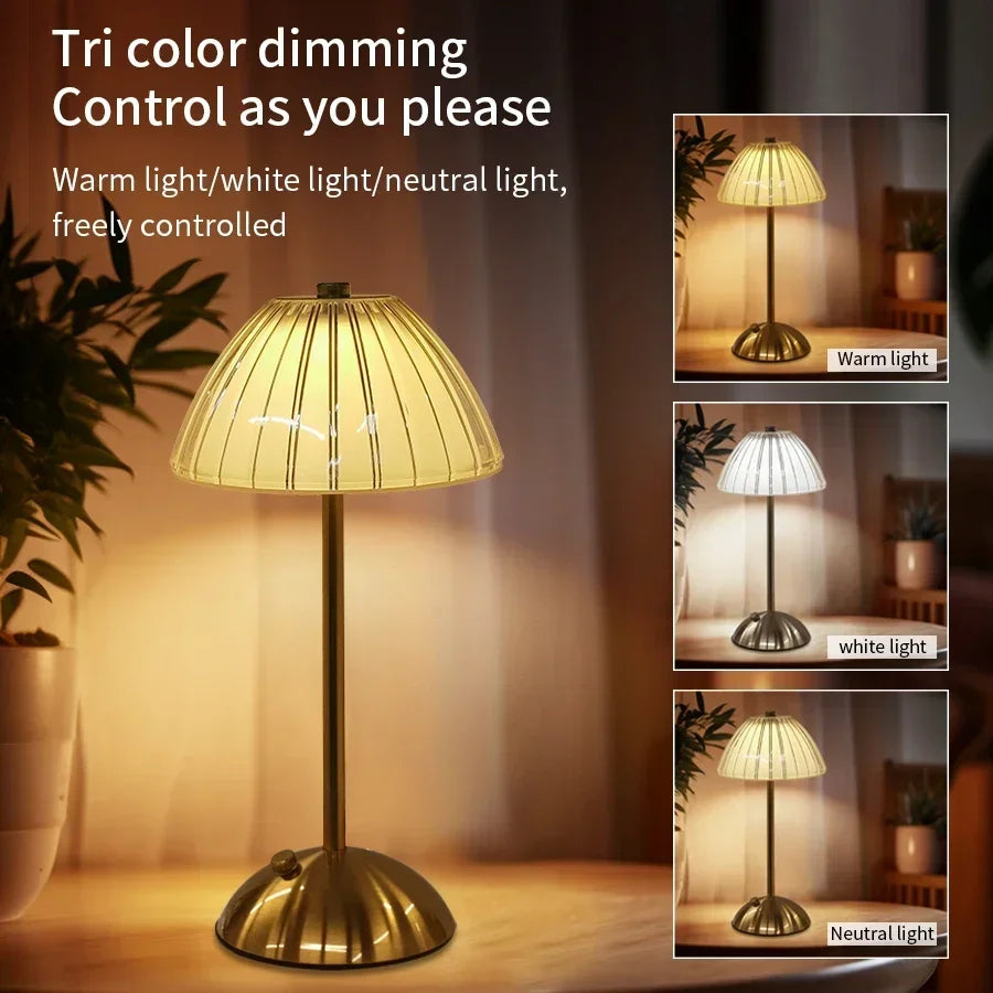 Star Point - Four Shade Options USB Rechargeable Crystal LED Desk Lamp