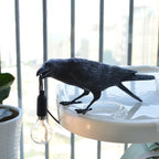 Crow (Table)
