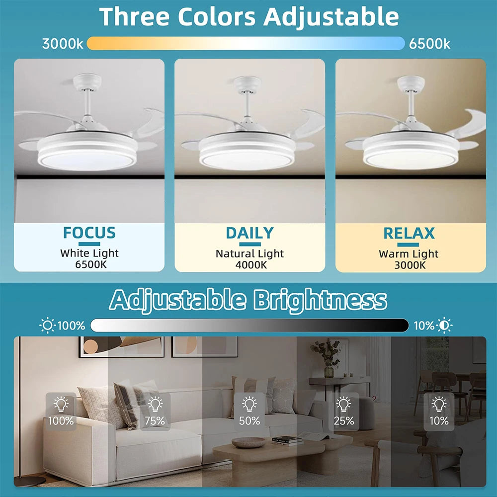 Monocle (Ceiling Fan Light)
